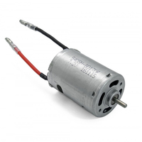 Hobby Works RC 60250 Motor  RC540 (1)                              (b,sc)