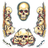 Jackal Decal 1/24 Skulls & Wire (External)
