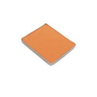 Ustar 91692 Weathering Powder Earth